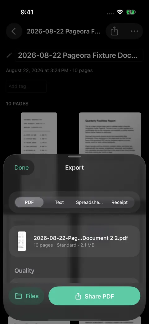 The export sheet with format options for PDF, Text, Spreadsheet and Receipt, and buttons to save to Files or share